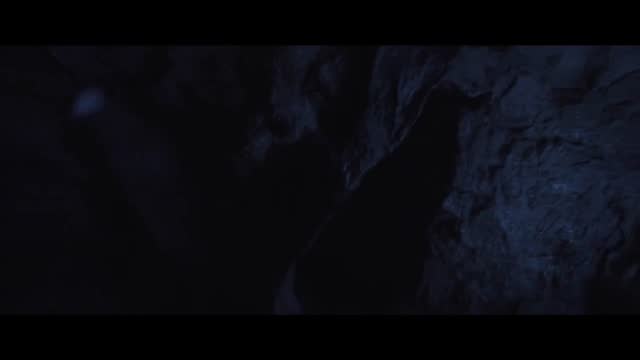 他是龙7