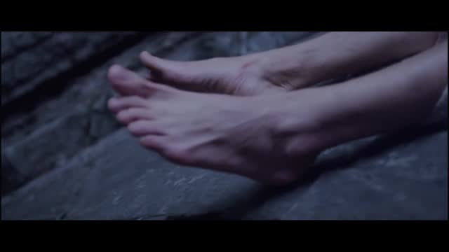 他是龙20
