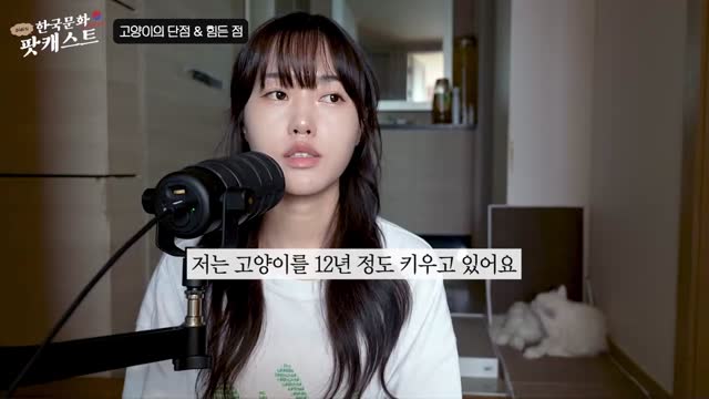 我和猫｜Didi's Korean Culture Podcast - 2
