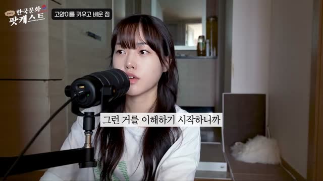我和猫｜Didi's Korean Culture Podcast - 3