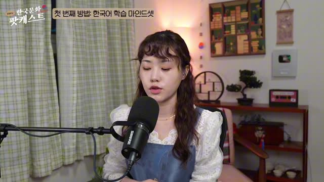 给韩语初学者的tip｜Didi's Korean Culture Podcast-2